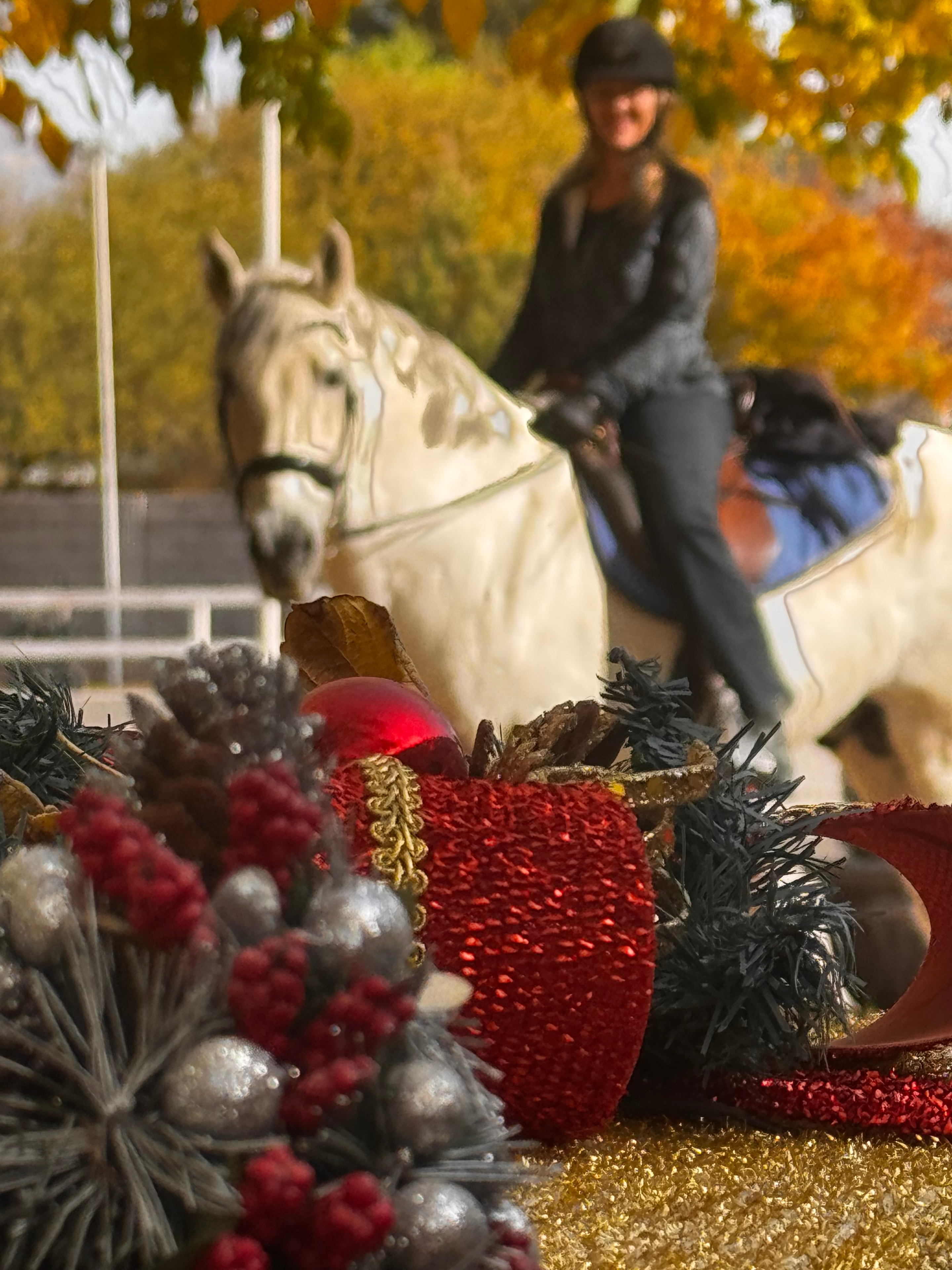 Horse with Christmas wreath decorations at Windrock Farm Christmas party