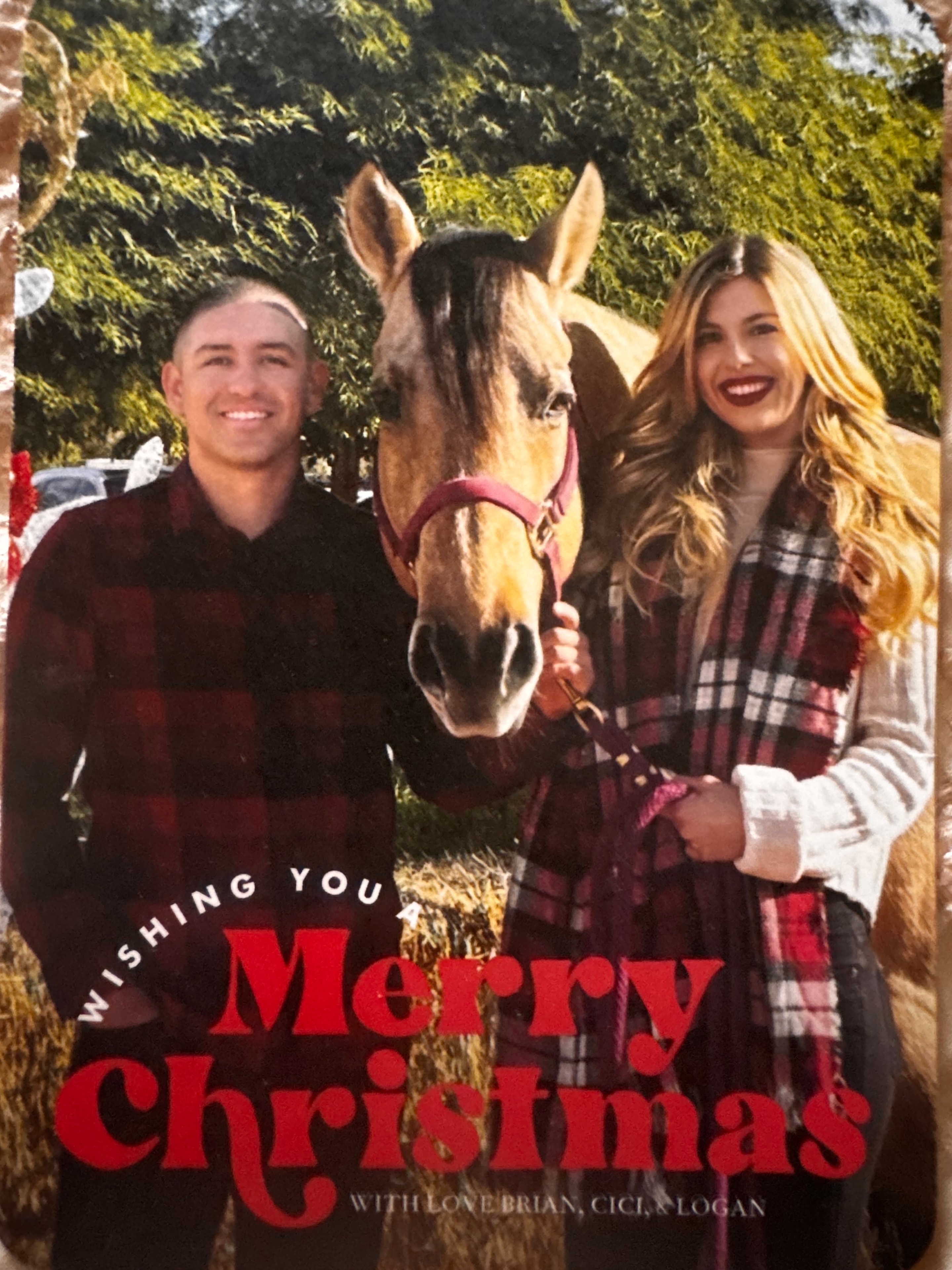 Engagement photo session at Windrock Farm