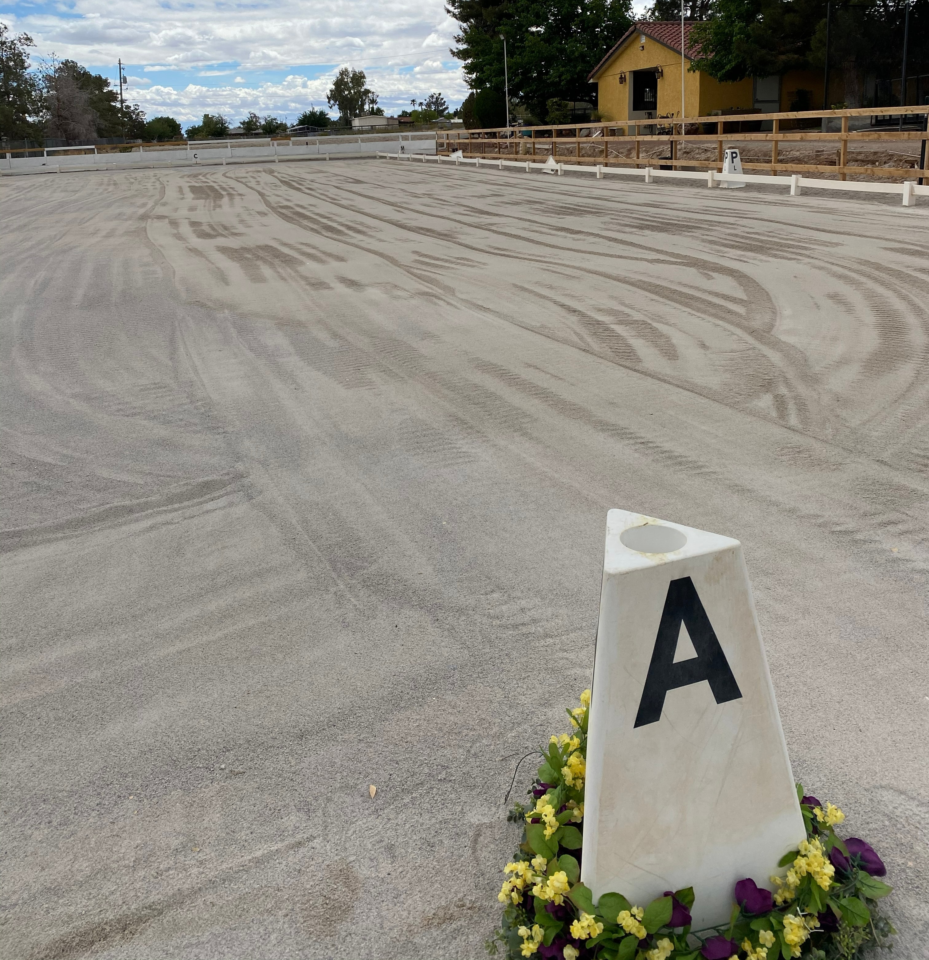 Arena lavender garden