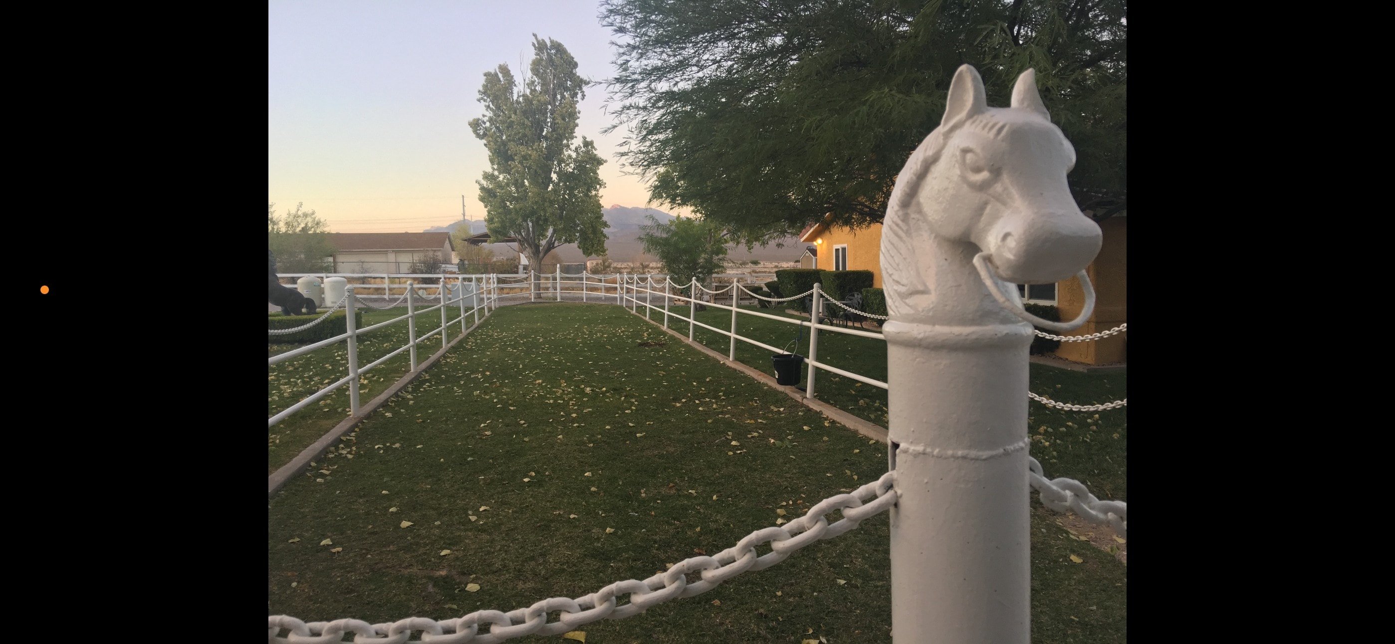 Horse head fence post with chain fencing along the green show ring at Windrock Farm